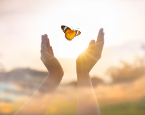 Deux mains accompagnent, avec bienveillance, un magnifique papillon qui s'envole vers la lumière et la liberté. C'est une métaphore de l'accompagnement psychothérapeutique